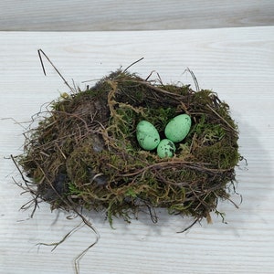 Authentic bird nest, Real bird's nests, Amazing natural nest, Bird Nest , Natural Bird Nest , Home Decor , Crafts Supply , Baby Birds image 1