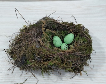 Authentisches Vogelnest, echte Vogelnester, erstaunliches natürliches Nest, Vogelnest, natürliches Vogelnest, Wohnkultur, Bastelzubehör, Babyvögel