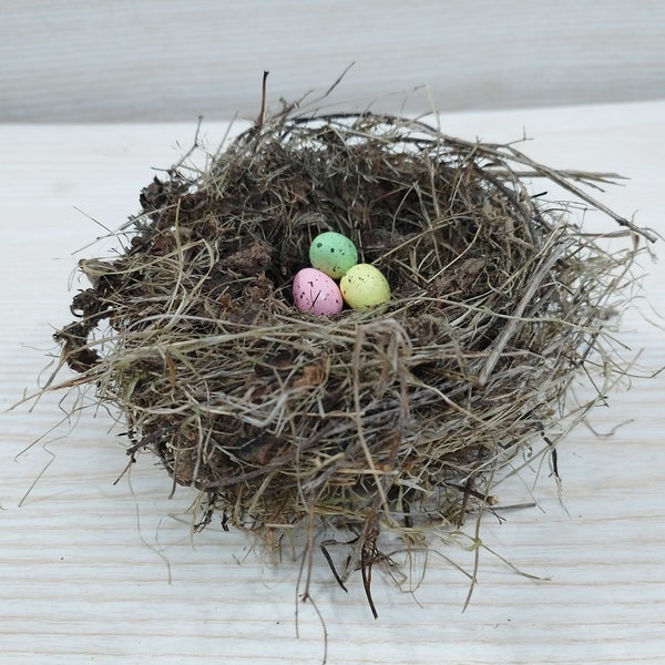 Authentic small bird nest, Real bird's nests, Amazing natural nest, Bird Nest , Natural Bird Nest ,  Home Decor , Crafts Supply , Baby Birds