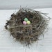 see more listings in the Bird nest section
