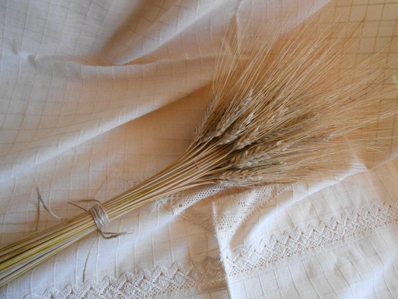 Decorative Wheat Dried Wheat Bundles Dried wheat bunch Etsy