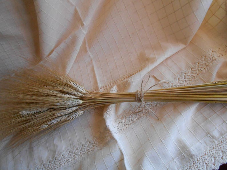 Decorative Wheat Dried Wheat Bundles Dried wheat bunch Etsy