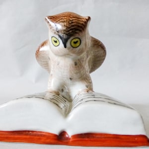 Vintage Drasche Porcelain Owl Figurine: Hungarian Pottery Bird with Book