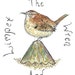 The Little Owl