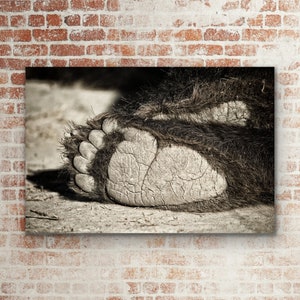 Bär Wildtiere Fotodruck Kabine Wanddekor, Bärenpfote Foto, rustikale Bär Druck, Metallic Tier Druck, Bär Leinwand, Tier Metall Wohnkultur