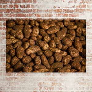 potato spud canvas and fine art print, metal print, Idaho russet potatoes photo print, farm potato wall decor, food themed wall art, potato
