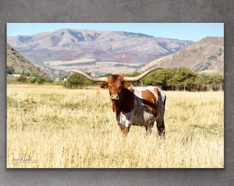 Impresión de Texas Longhorn: paisaje de vaca de granja, lienzo o metal