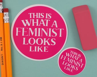 This is What a Feminist Looks Like Sticker, Leftist Stickers