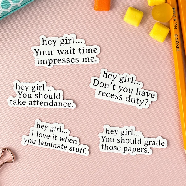 Pegatinas para profesores, debes pasar lista, paquete de pegatinas, regalo para profesores