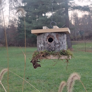 birdhouse log
