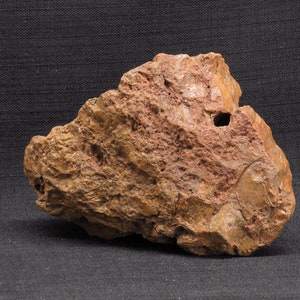 Large Pacific Northwest United States Natural Brown Jasper Specimen with Crystal Veins 7 Pounds 12 Ounces.