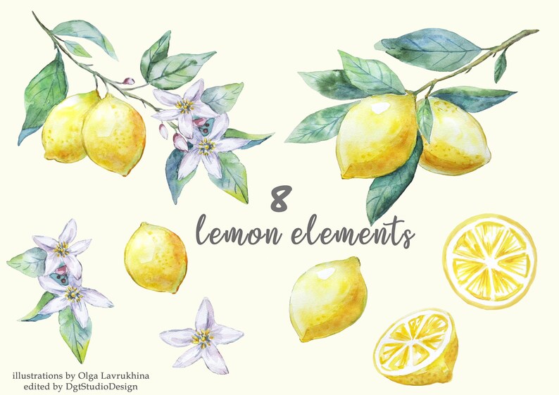 Watercolor Clipart Olive Lemon Frame Wreath Handpainted 50