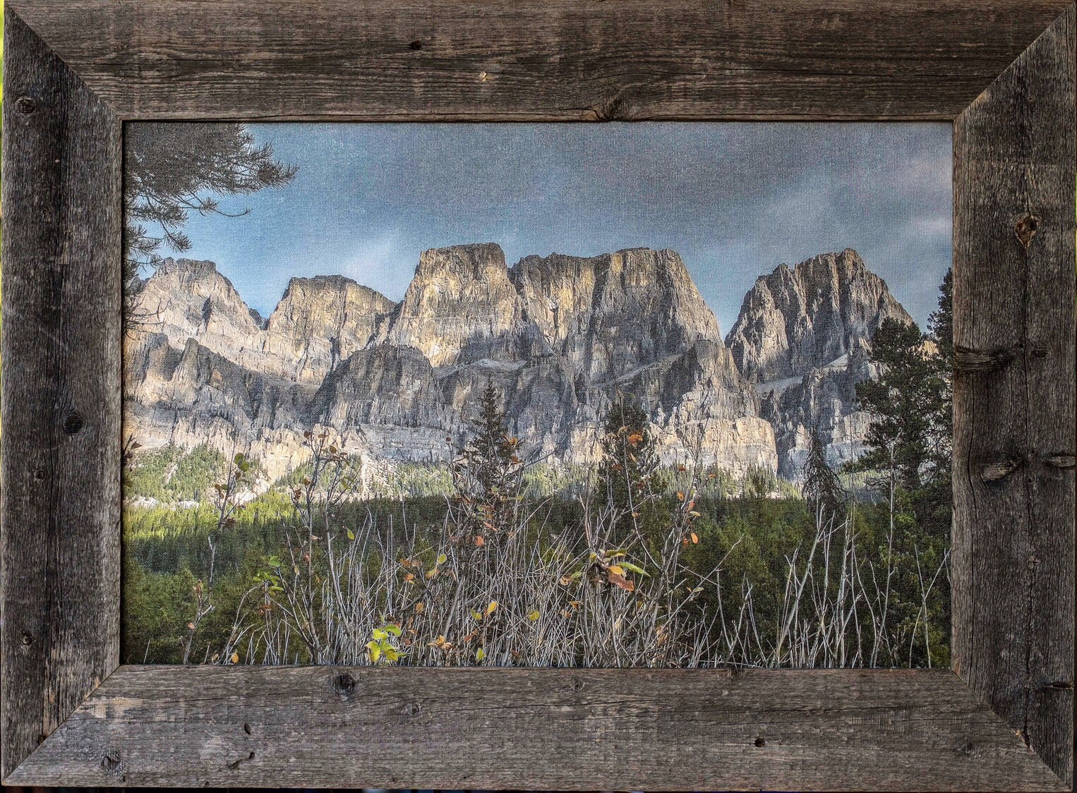 frame rocky mountain