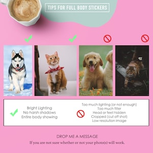 May include: Tips for taking photos for full body stickers. Three examples of good photos: a husky dog, a cat, and a golden retriever puppy. Three examples of bad photos: a dog with too much lighting, a dog with its head cut off, and a cat with too much filter.