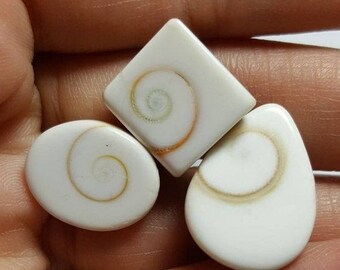 60% off 3pcs lot Shiva eye shell natural multi-shape cabochon - STK-92-SSL-05