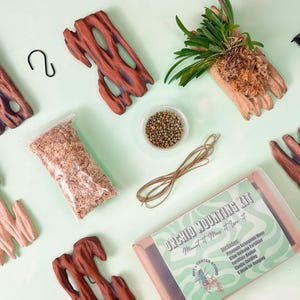 May include: An orchid mounting kit with various components, including pieces of driftwood, a bag of sphagnum moss, a small container of fertilizer, and a hook. The kit also includes a clear plastic container with the text "Orchid Mounting Kit".