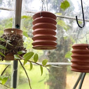 Hanging Ceramic Orchid Mount - Handmade Terracotta Cylinder Planter | Clay Holder for Orchids & Epiphytes