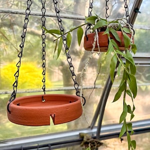 Puede incluir: Dos macetas colgantes de terracota suspendidas por cadenas negras. Una maceta está vacía, la otra contiene una planta verde con hojas largas en cascada. Las macetas están dentro de un invernadero.