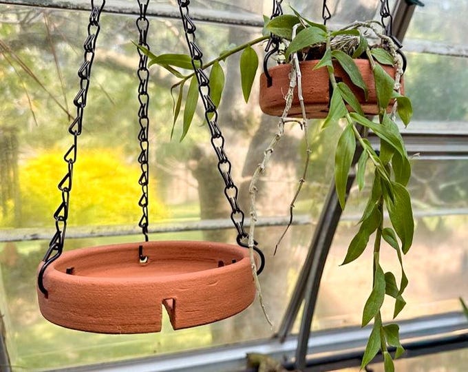Terracotta Orchid Mount: Wall Hanging Planter Pot with Holes