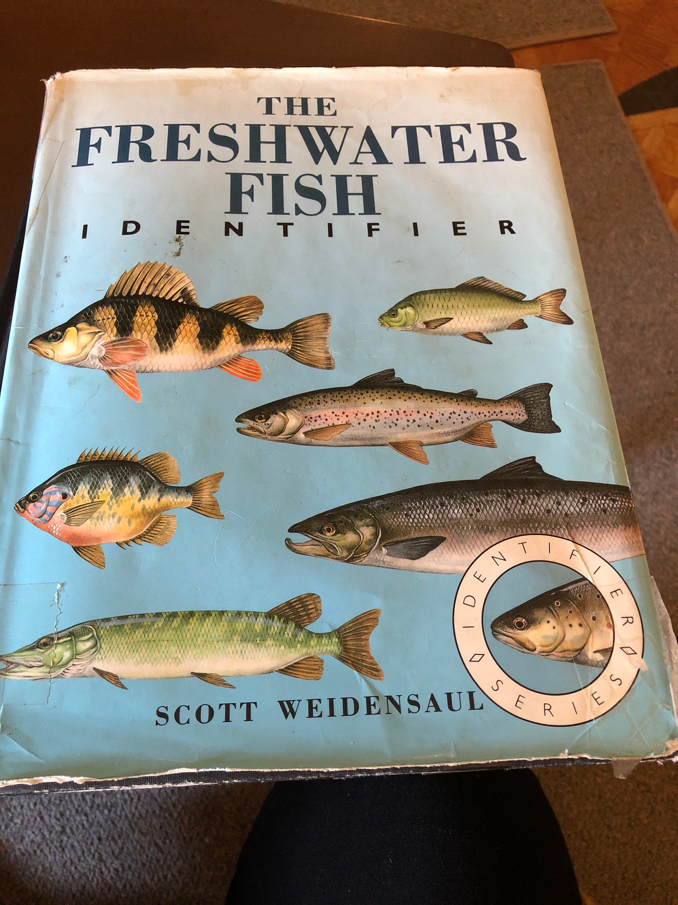 The Freshwater Fish Identifier - Etsy