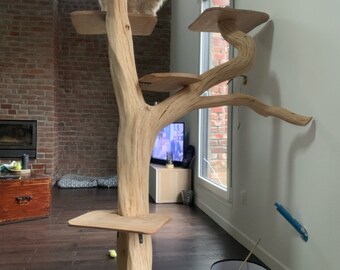 Arbre Chat Etsy