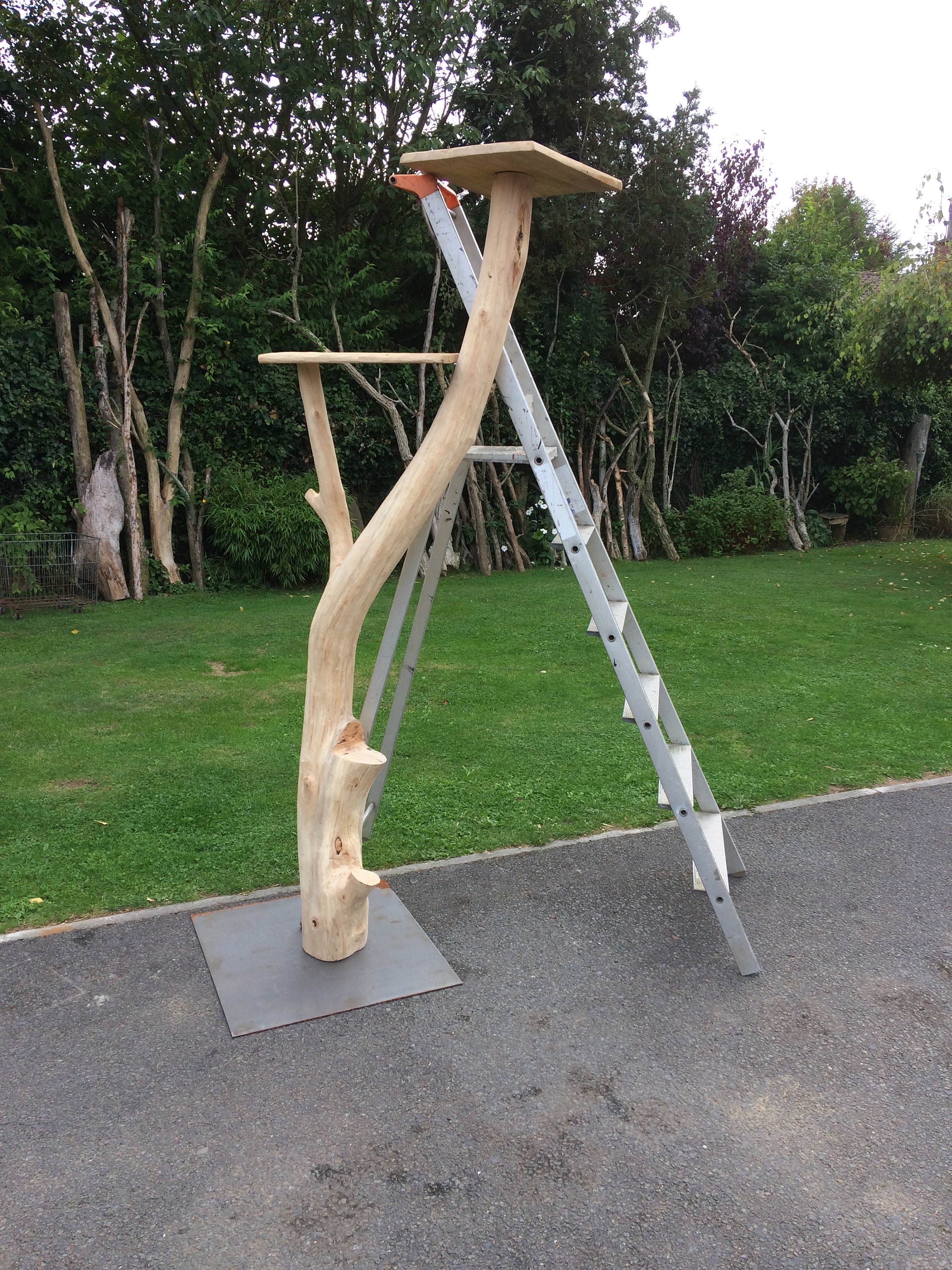 Arbre en chat en bois naturel bois blanc Etsy