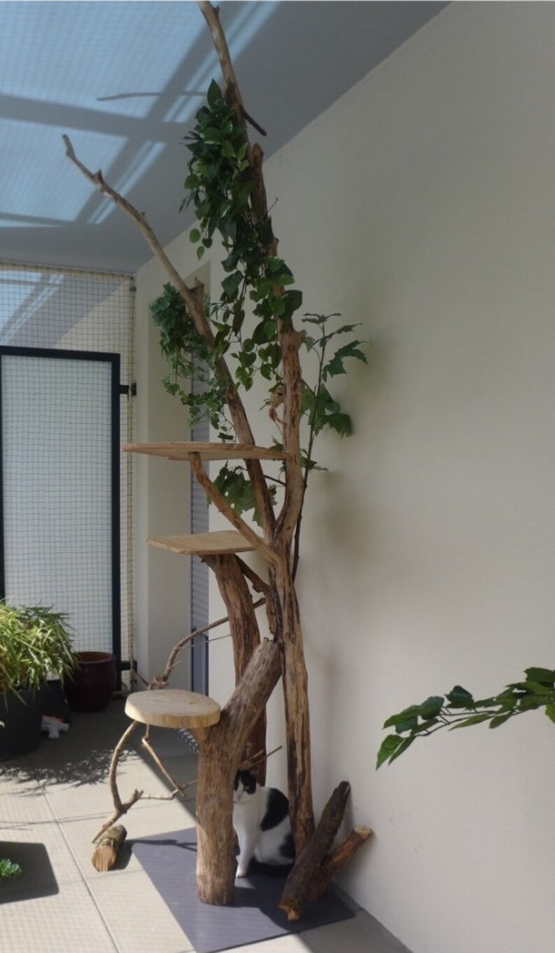 Arbre à chat en bois flotté Etsy Arbre à chat en bois flotté Etsy