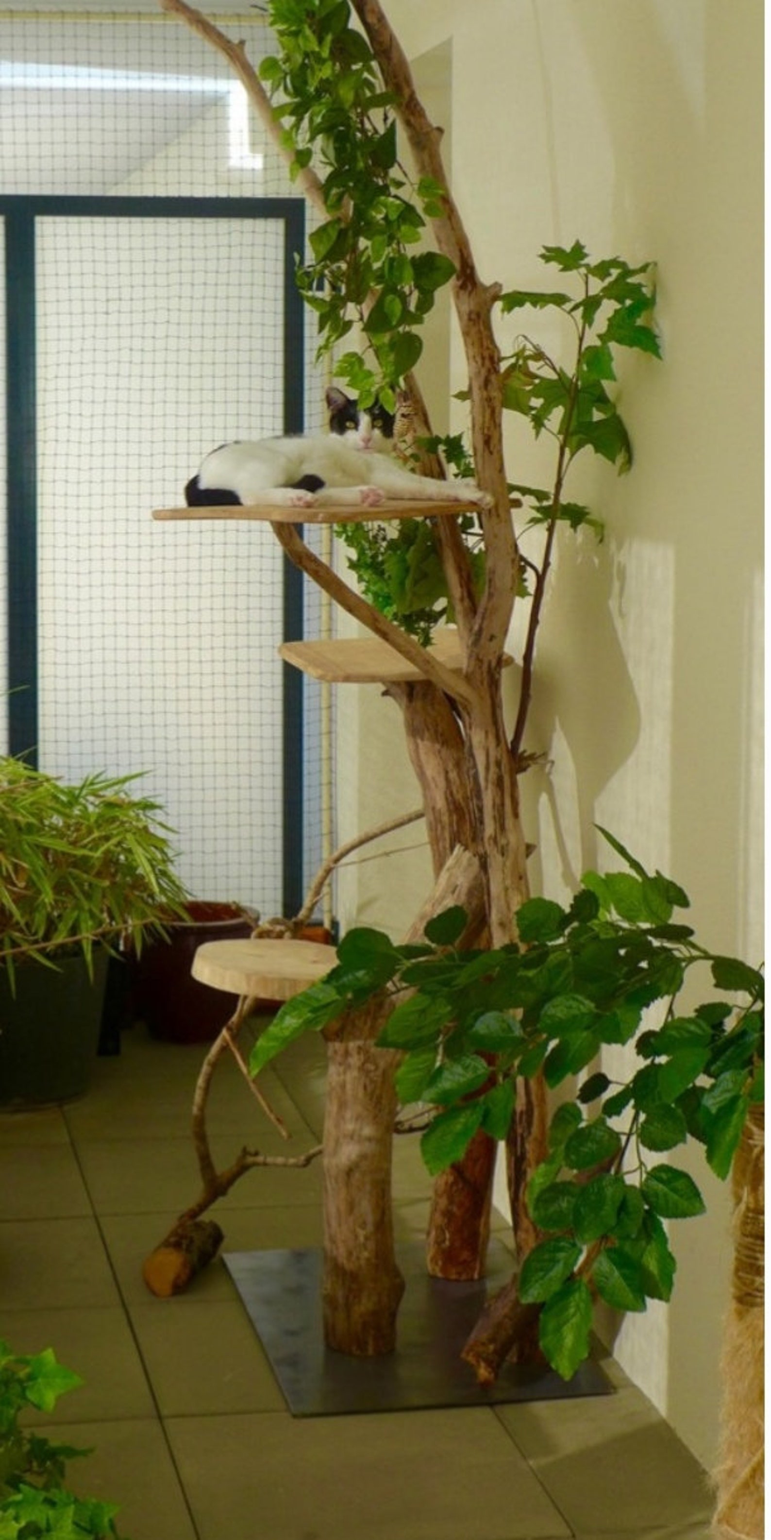 Driftwood cat tree Etsy