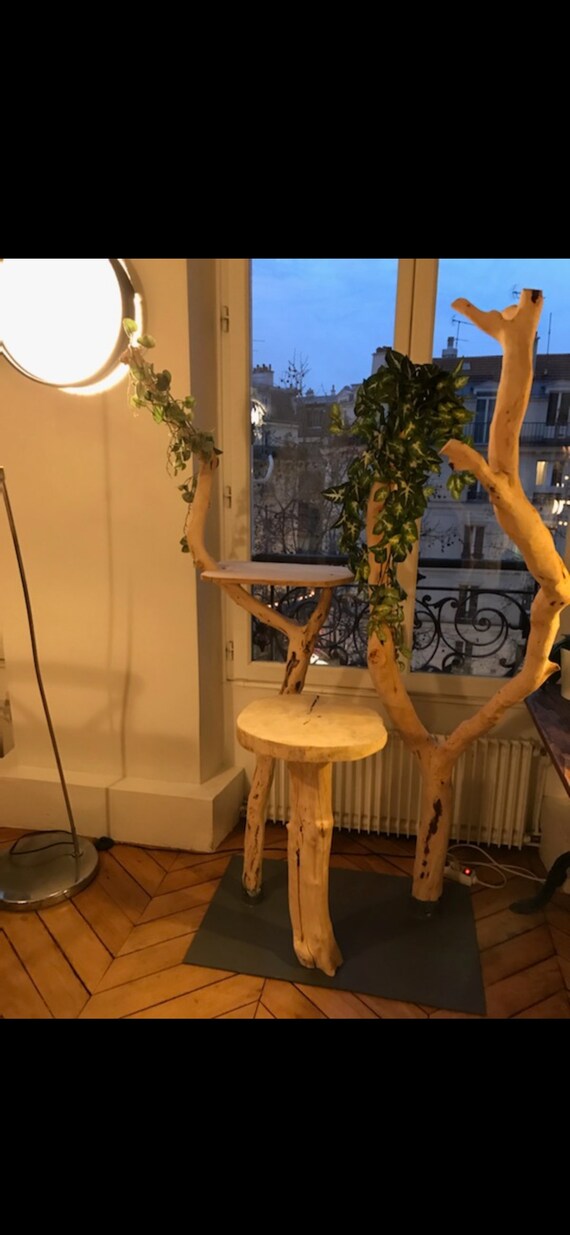 Arbre A Chat En Bois Flotte Etsy
