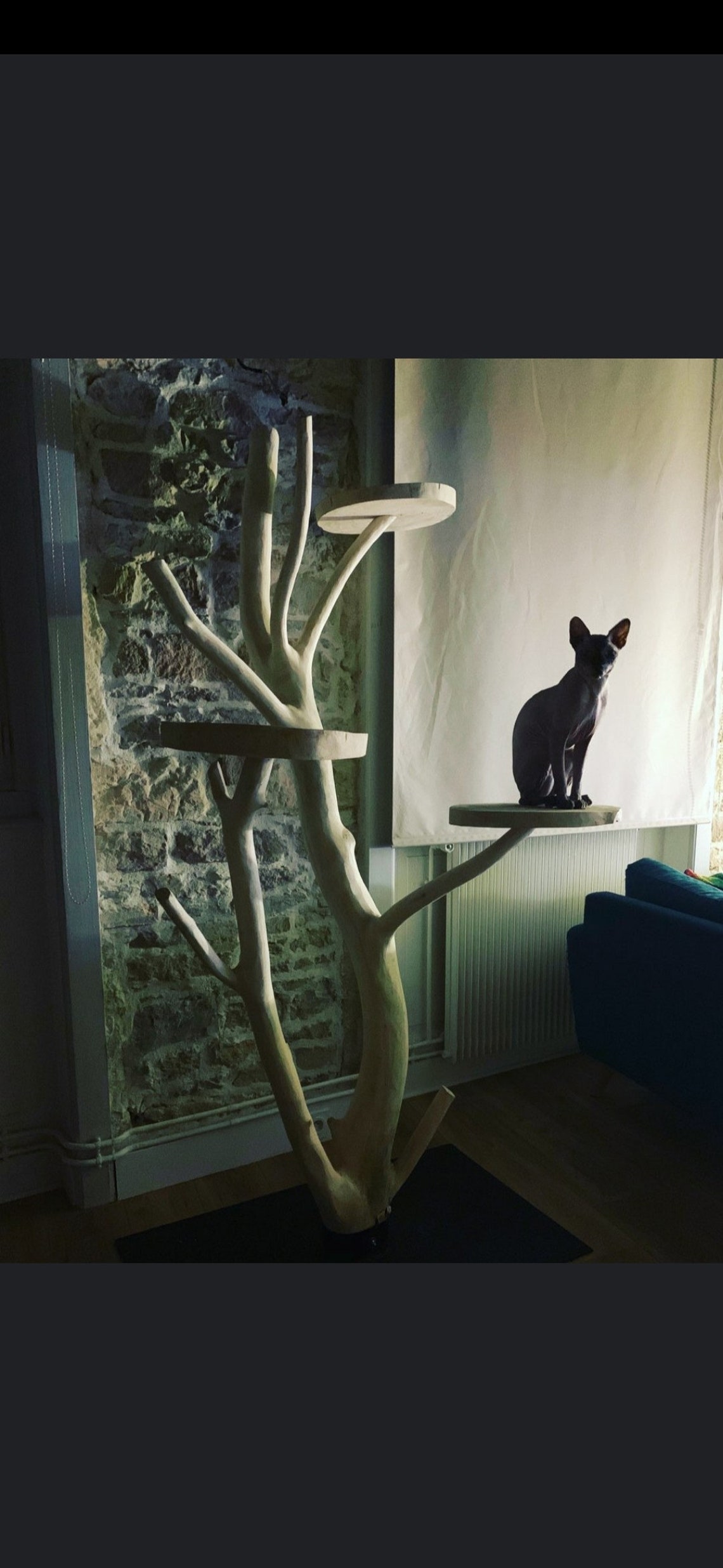 Natural Wood Cat Trees at Gary Staton blog