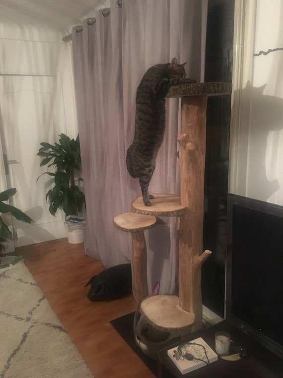 Driftwood Cat Tree Etsy Driftwood Cat Tree Etsy