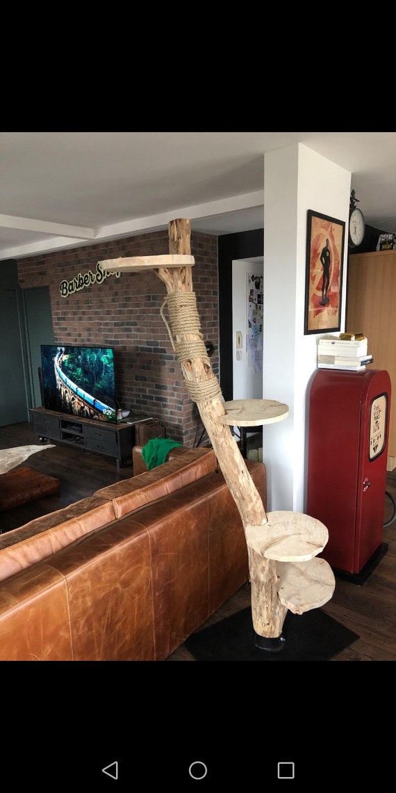 Arbre A Chat En Bois Flotte Etsy Arbre A Chat En Bois Flotte Etsy