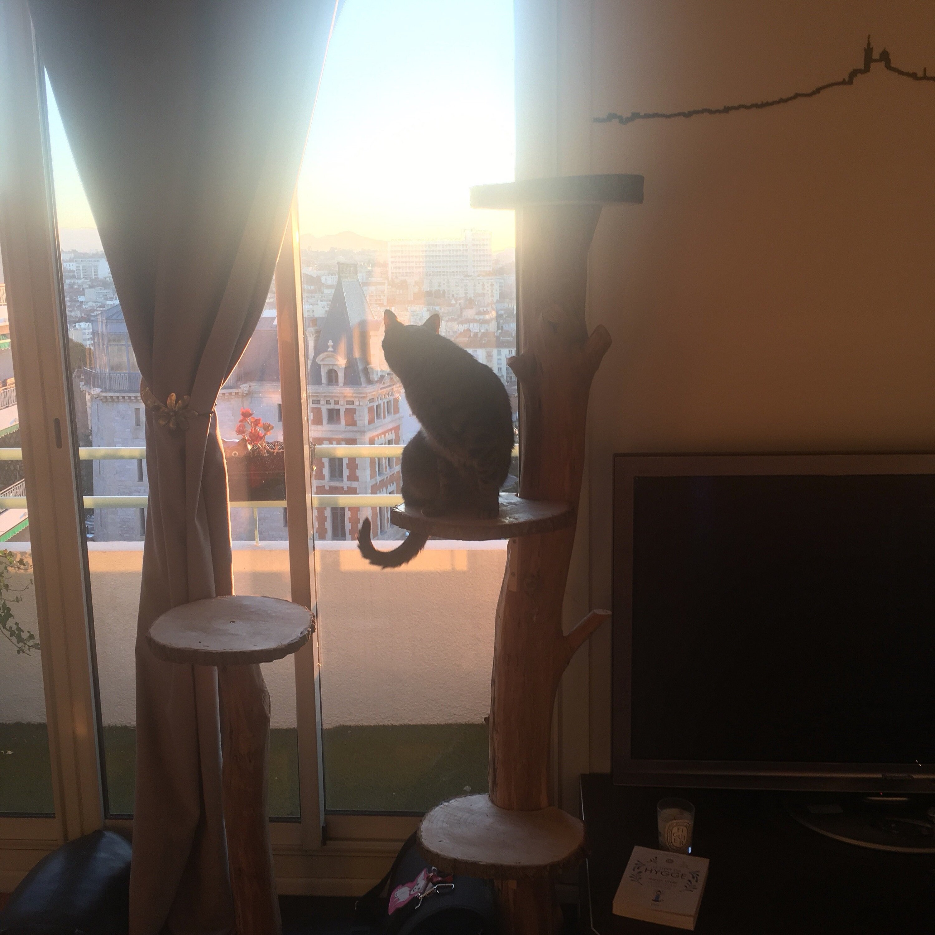 Driftwood cat tree Etsy