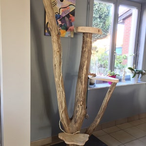 Arbre A Chat En Bois Flotte Etsy Arbre A Chat En Bois Flotte Etsy