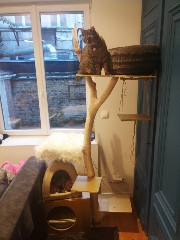 cat tree with litter box