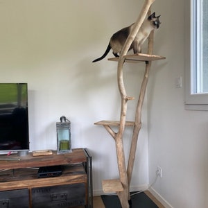 Arbre A Chat En Bois Flotte Etsy