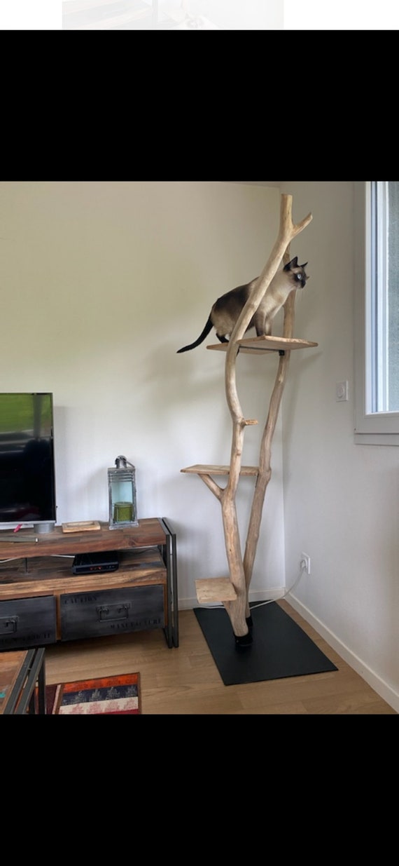 driftwood cat tree