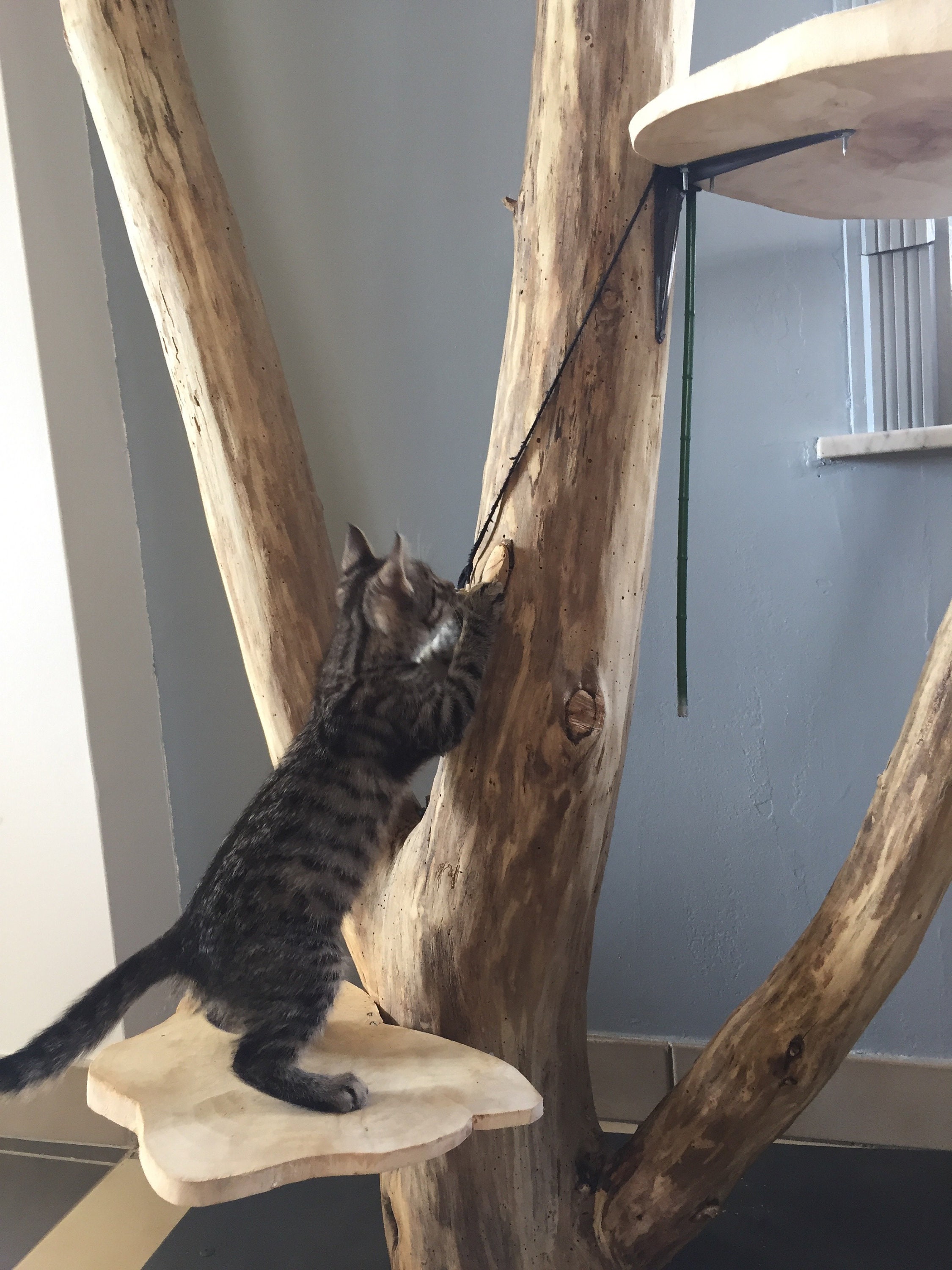 Arbre A Chat En Bois Flotte Etsy