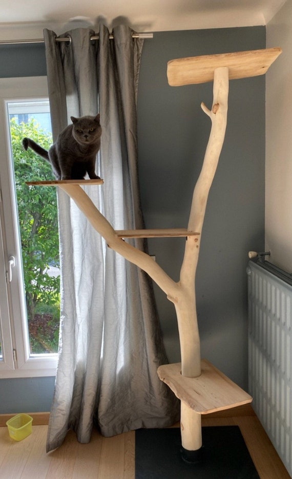 Arbre en chat en bois naturel avec plateaux en chêne Etsy