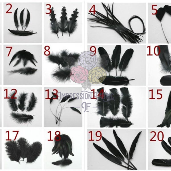 Plume noire, plumes artisanales, plumes naturelles, vraies plumes, longues plumes noires, plumes lâches, plumes en gros