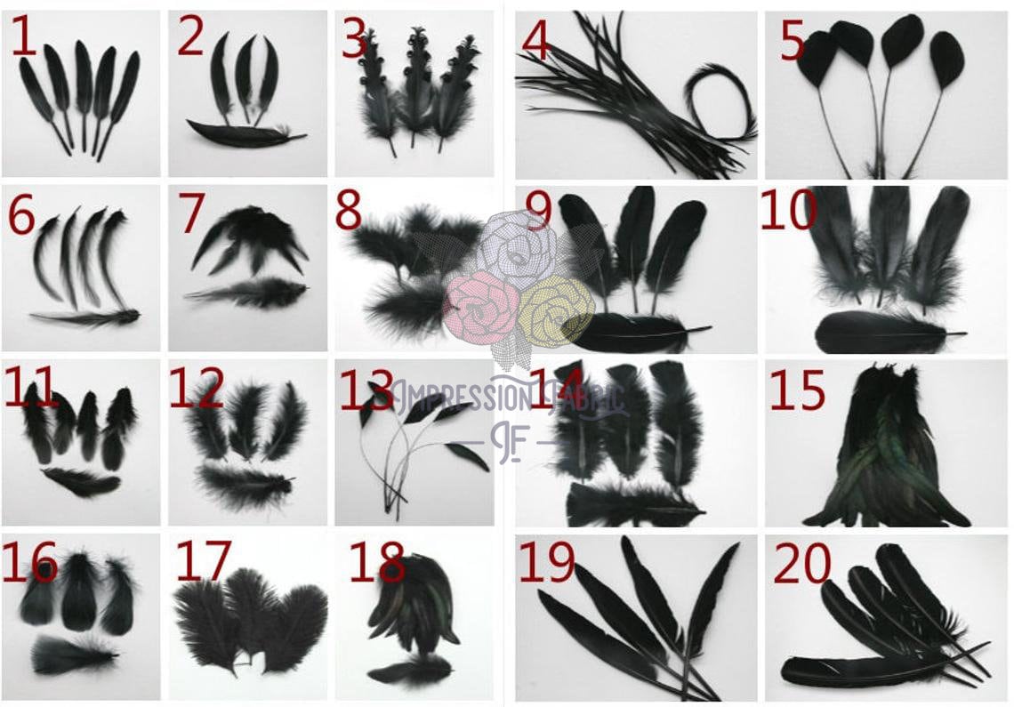 Black Feather, Craft Feathers, Natural Feathers, Real Feathers, Long Black  Feathers, Loose Feathers, Wholesale Feathers 