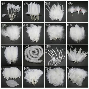 Variety Of Soft And Fluffy Wholesale artificial feathers 