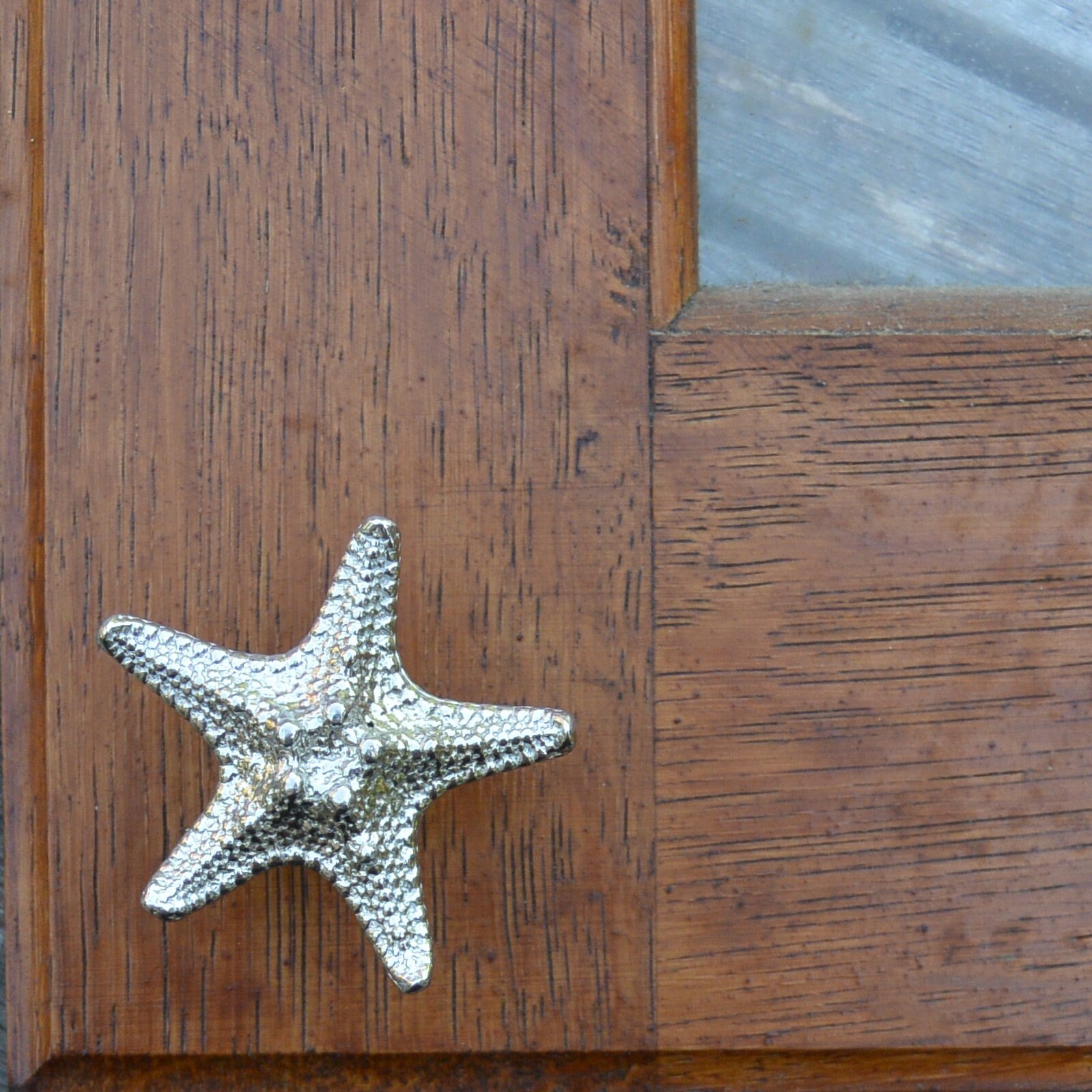 Starfish Kitchen Knobs Starfish Drawer Knob Starfish Etsy