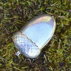 May include: A silver acorn charm with a detailed, textured cap. The charm is sitting on a bed of green moss.