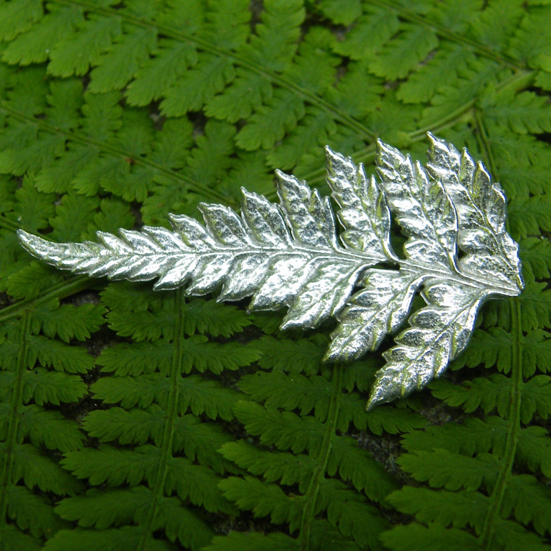 Silver fern sale brooch
