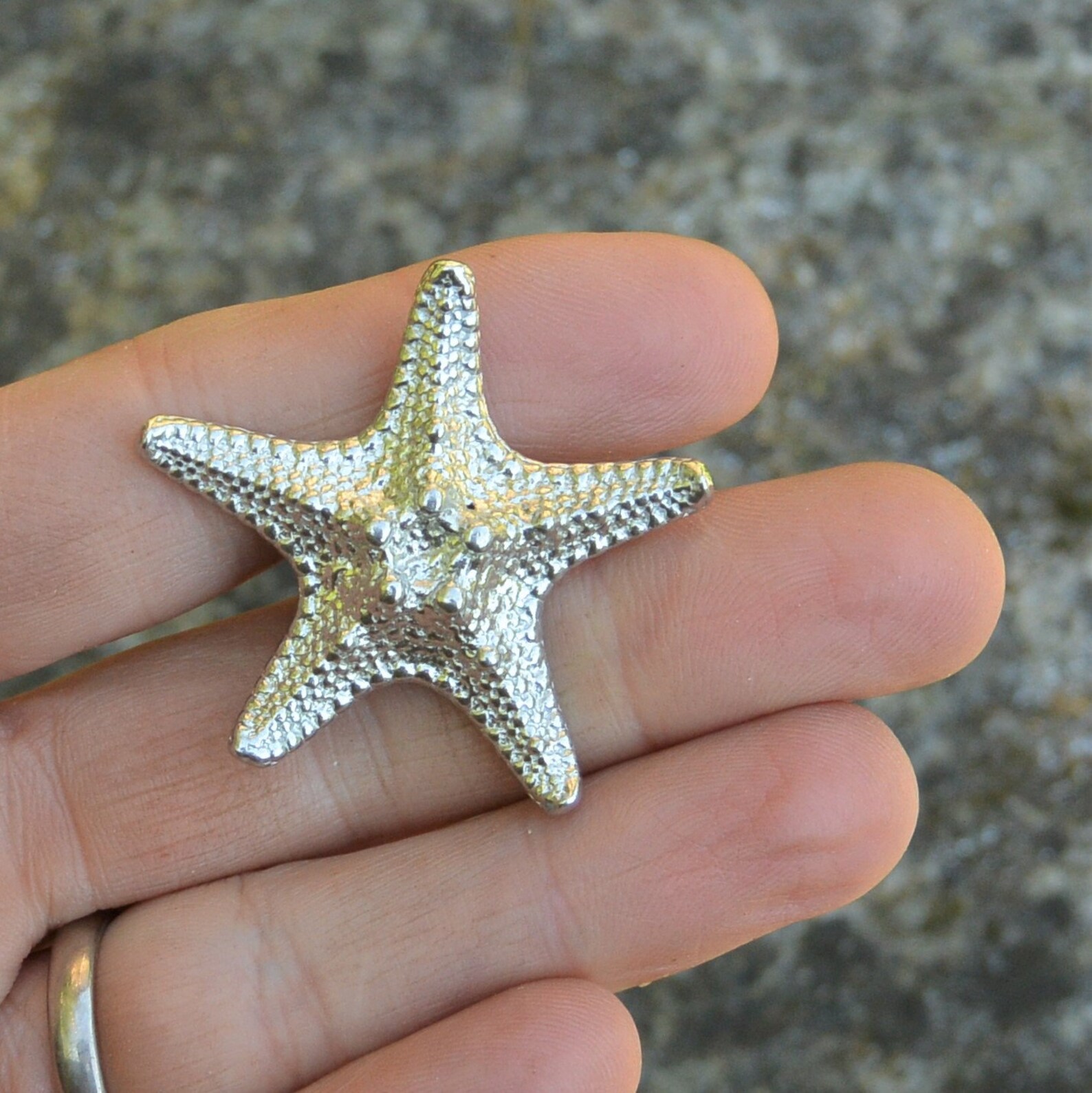 Starfish Kitchen Knobs Starfish Drawer Knob Starfish Etsy
