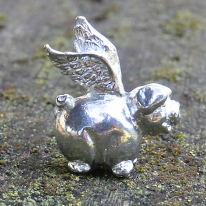 Flying Pig Pet, Handmade, Symbol of New Possibilities, Mythical Flying Pig Gift, Made by William Sturt