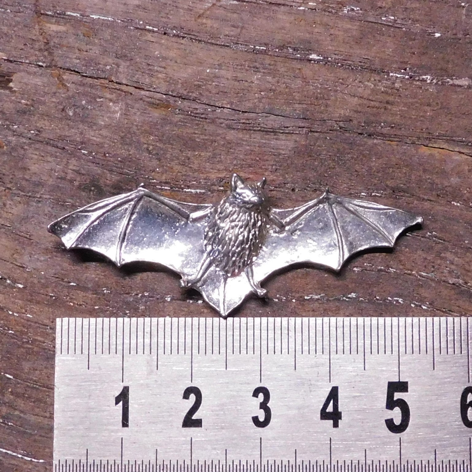 Volpe Dalle Orecchie Di Pipistrello Che Vaga Liberamente In Una Riserva Di Caccia Di Gm1189613928 336910348 - Foto 5