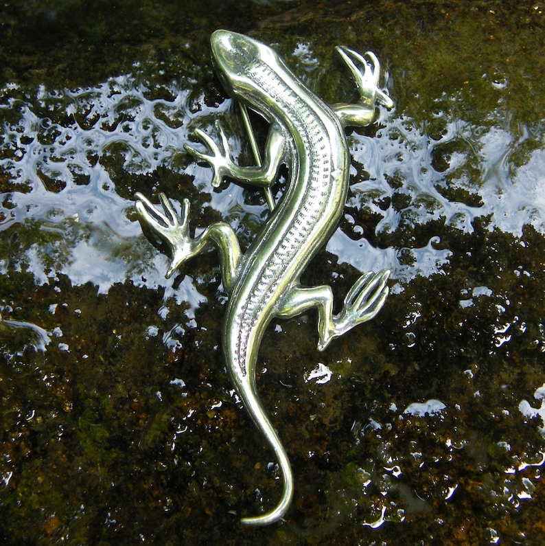 Puede incluir: Broche plateado con forma de lagarto, con escamas detalladas y extremidades extendidas. El alfiler con forma de reptil se encuentra sobre un fondo oscuro y h&uacute;medo, creando un contraste llamativo. El broche tiene un cierre de alfiler.