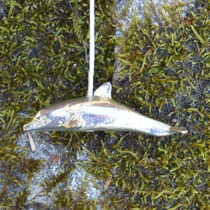 Könnte beinhalten: Ein silberner Delfin-Anhänger, der an einer weißen Schnur hängt. Der Delfin ist nach rechts gerichtet und hat eine glatte, glänzende Oberfläche.